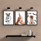Kit 3 Quadros Para Clínica Veterinária 33x24cm - Com Vidro Mo