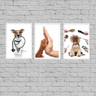 Kit 3 Quadros Para Clínica Veterinária 33x24cm - Com Vidro Mo