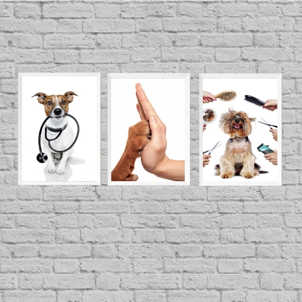 Kit 3 Quadros Para Clínica Veterinária 33x24cm Moldura:madeir