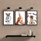 Kit 3 Quadros Para Clínica Veterinária 45x34cm Moldura:madeir
