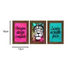 Kit 3 Quadros Para Decoração Leão Colorido Frases Sala