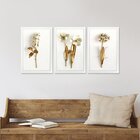 Kit 3 Quadros Para Decoração Plantas Flores Cozinha Sala