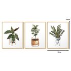 Kit 3 Quadros Para Decoração Plantas Folhagem Vasos Cozinha