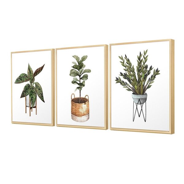 Kit 3 Quadros Para Decoração Plantas Folhagem Vasos Cozinha