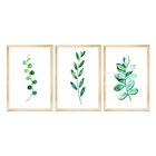 Kit 3 Quadros Para Decoração Sala Folhas Ramos Cozinha
