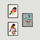 Kit 3 Quadros Passarinhos Coloridos 33x24cm - Com Vidro Moldu