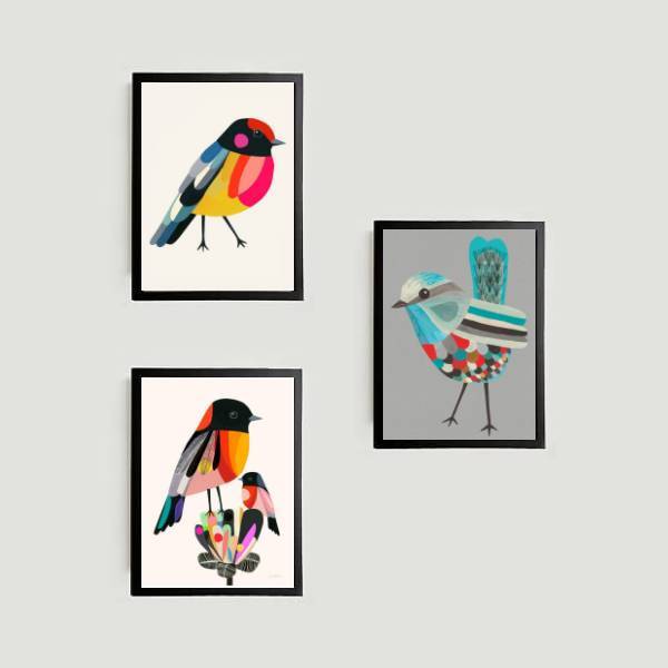 Kit 3 Quadros Passarinhos Coloridos 33x24cm - Com Vidro Moldu