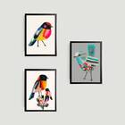Kit 3 Quadros Passarinhos Coloridos 33x24cm - Com Vidro Moldu