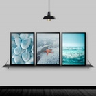 Kit 3 Quadros Praia Estrela Do Mar 33x24cm - Com Vidro Moldur