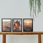 Kit 3 Quadros Praia Por Do Sol Conchas Tartaruga 33x24cm - Co