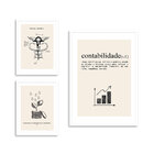 Kit 3 Quadros Profissões Contabilidade Moldura Branca  Com Vi
