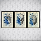 Kit 3 Quadros Psicologia Cérebro Coração 24x18cm - Com Vidro