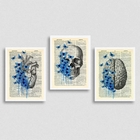 Kit 3 Quadros Psicologia Cérebro Coração 33x24cm - Com Vidro