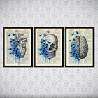 Kit 3 Quadros Psicologia Cérebro Coração 45x34cm - Com Vidro