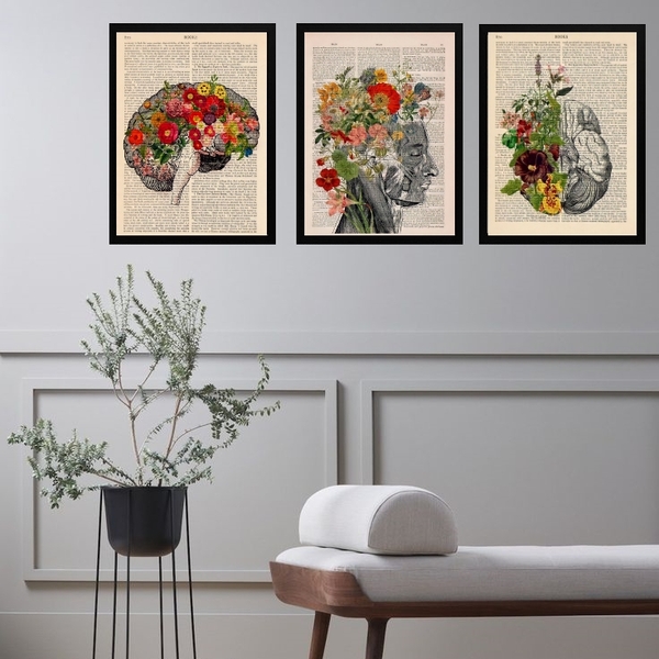 Kit 3 Quadros Psiquiatria Cérebro Flores 33x24cm Moldura:made