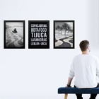 Kit 3 Quadros Rio De Janeiro - Bairros Zona Sul 45x34cm - Com