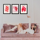 Kit 3 Quadros Rosa E Vermelho Matisse - Coral Mulher 45x34cm