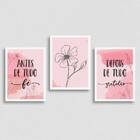 Kit 3 Quadros Sobre Fé E Gratidão Rosa 33x24cm - Com Vidro Mo