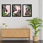 Kit 3 Quadros Zebras Listras Rosas 45x34cm Moldura Preta