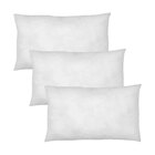 Kit 3 Refis Enchimento Para Almofada Em Fibra Siliconada 50x3