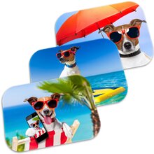 Kit 3 Tapetes Decorativos Dog Summer Único