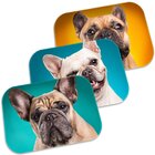 Kit 3 Tapetes Decorativos Dog´s Único