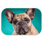 Kit 3 Tapetes Decorativos Dog´s Único