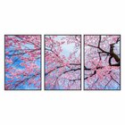 Kit 3 Telas Canvas Com Moldura Arvore Com Flores Rosa