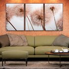 Kit 3 Telas Canvas Com Moldura Dente-de-leão Fundo Branco