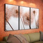 Kit 3 Telas Canvas Com Moldura Dente-de-leão Fundo Branco