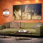 Kit 3 Telas Canvas Com Moldura Dente-de-leão Orvalho Dourado