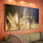 Kit 3 Telas Canvas Com Moldura Dente-de-leão Orvalho Dourado