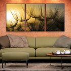 Kit 3 Telas Canvas Com Moldura Dente-de-leão Por Do Sol
