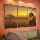 Kit 3 Telas Canvas Com Moldura Estampa Natureza Safari