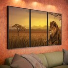 Kit 3 Telas Canvas Com Moldura Estampa Natureza Safari