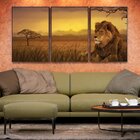 Kit 3 Telas Canvas Com Moldura Estampa Natureza Safari