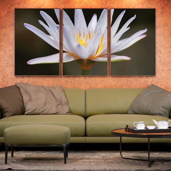 Kit 3 Telas Canvas Com Moldura Flor De Lótus