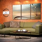 Kit 3 Telas Canvas Com Moldura Gotas De Orvalho E Dente-de-le