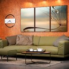 Kit 3 Telas Canvas Com Moldura Gotas De Orvalho E Dente-de-le