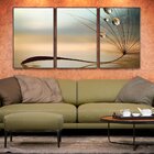 Kit 3 Telas Canvas Com Moldura Gotas De Orvalho E Dente-de-le