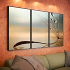 Kit 3 Telas Canvas Com Moldura Gotas De Orvalho E Dente-de-le