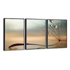 Kit 3 Telas Canvas Com Moldura Gotas De Orvalho E Dente-de-le