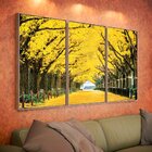 Kit 3 Telas Canvas Com Moldura Ipê  Amarelo