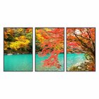 Kit 3 Telas Canvas Com Moldura Lago E Flores