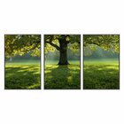Kit 3 Telas Canvas Com Moldura Natureza