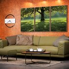 Kit 3 Telas Canvas Com Moldura Natureza