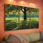 Kit 3 Telas Canvas Com Moldura Natureza