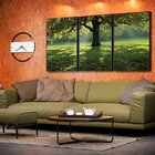 Kit 3 Telas Canvas Com Moldura Natureza