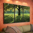 Kit 3 Telas Canvas Com Moldura Natureza