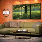 Kit 3 Telas Canvas Com Moldura Natureza